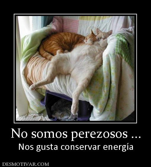 No somos perezosos ... Nos gusta conservar energía