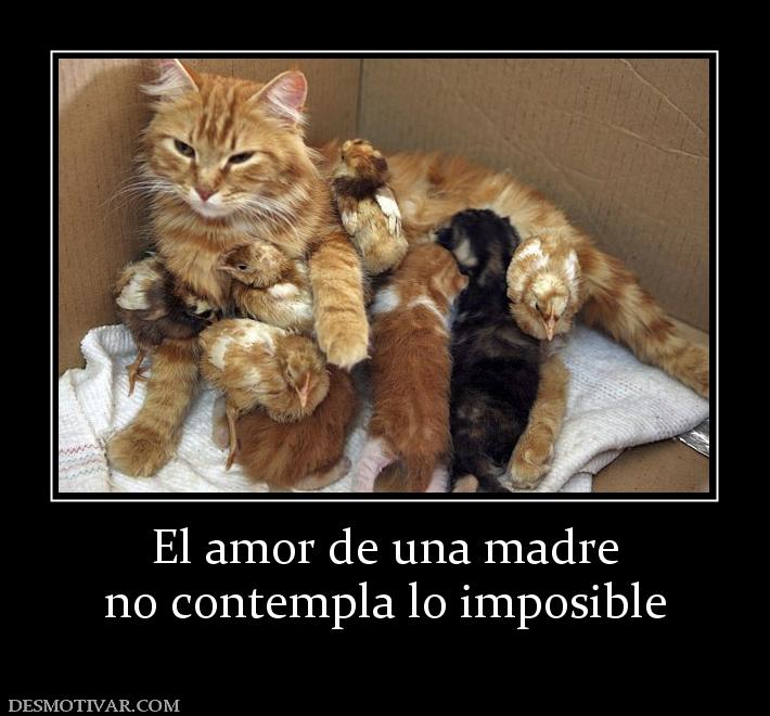 El amor de una madre no contempla lo imposible