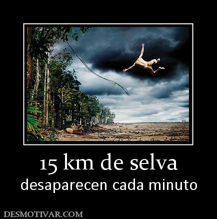 15 km de selva desaparecen cada minuto