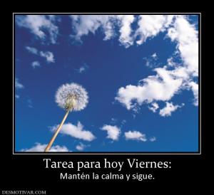 Tarea para hoy Viernes: Mantén la calma y sigue.