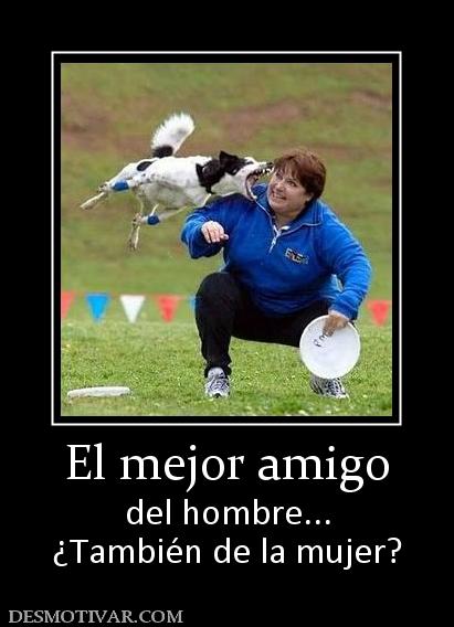 El mejor amigo del hombre... ¿También de la mujer?