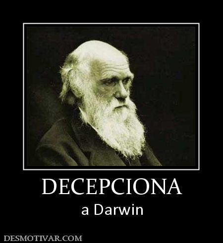 DECEPCIONA a Darwin