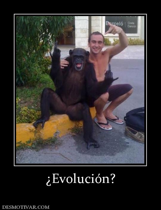 ¿Evolución?