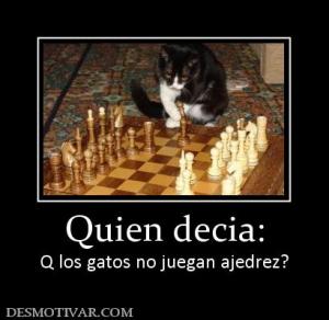 Quien decia: Q los gatos no juegan ajedrez?