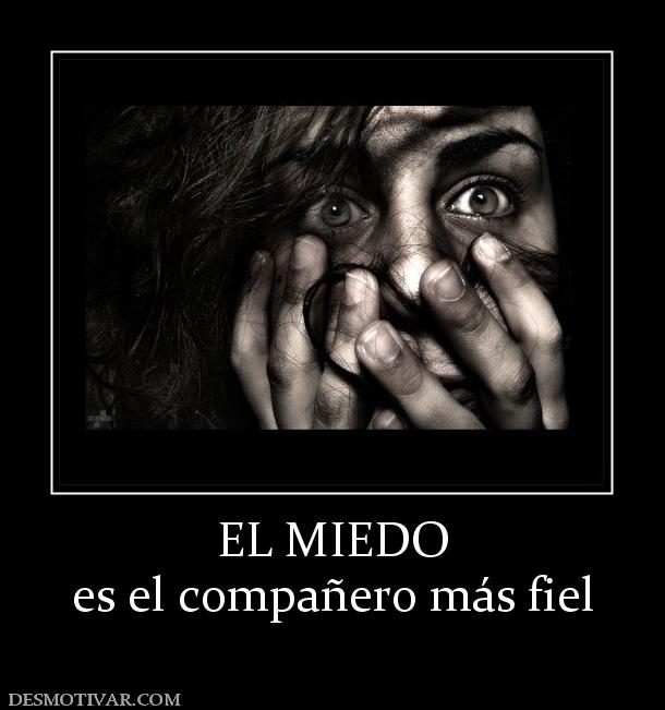 EL MIEDO es el compañero más fiel