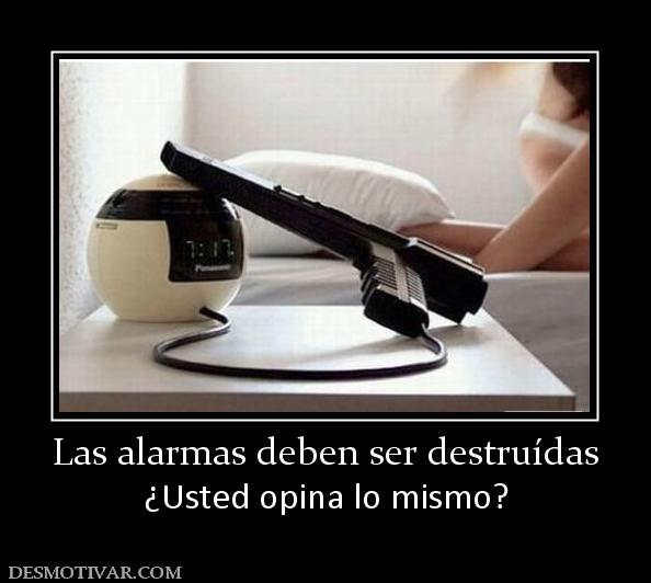 Las alarmas deben ser destruídas ¿Usted opina lo mismo?