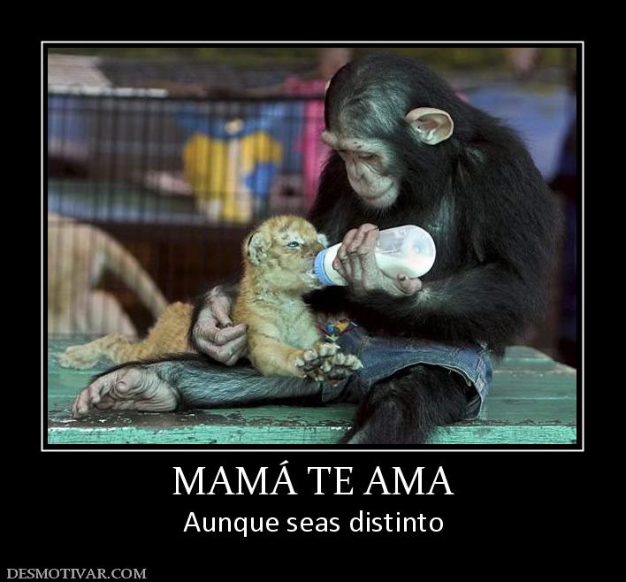 MAMÁ TE AMA Aunque seas distinto