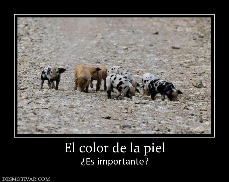 El color de la piel ¿Es importante?