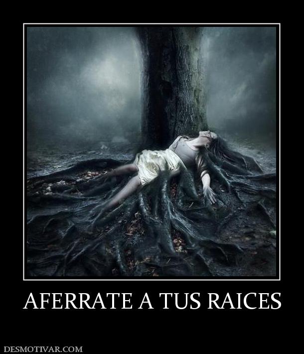 AFERRATE A TUS RAICES