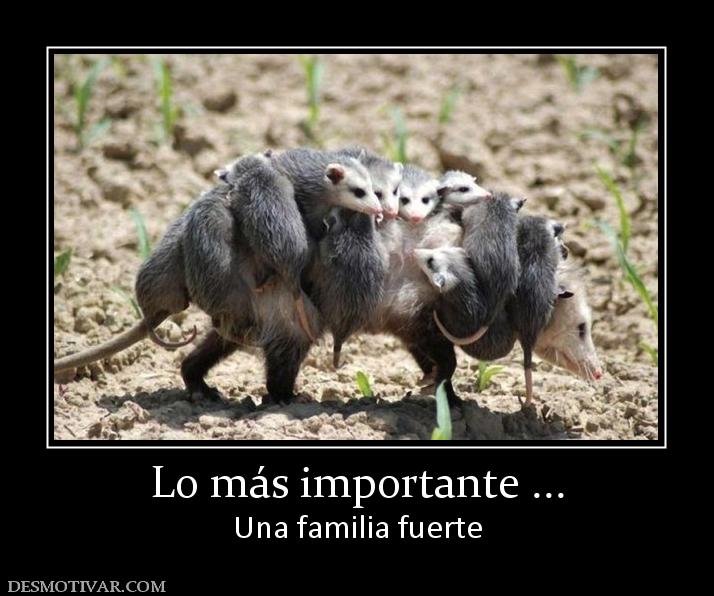 Lo más importante ... Una familia fuerte