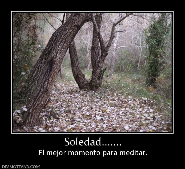 Soledad....... El mejor momento para meditar.