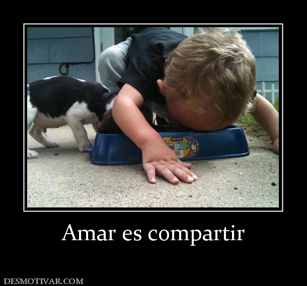 Amar es compartir