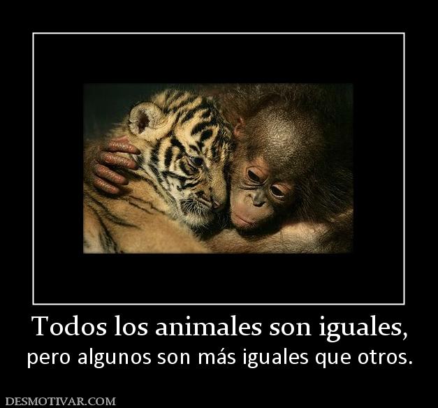 Todos los animales son iguales, pero algunos son más iguales que otros.