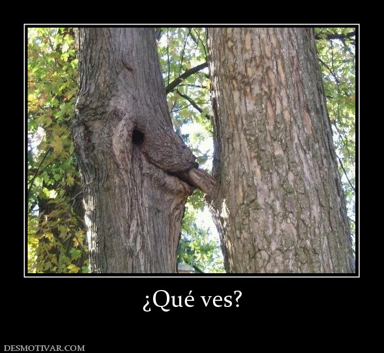 ¿Qué ves?