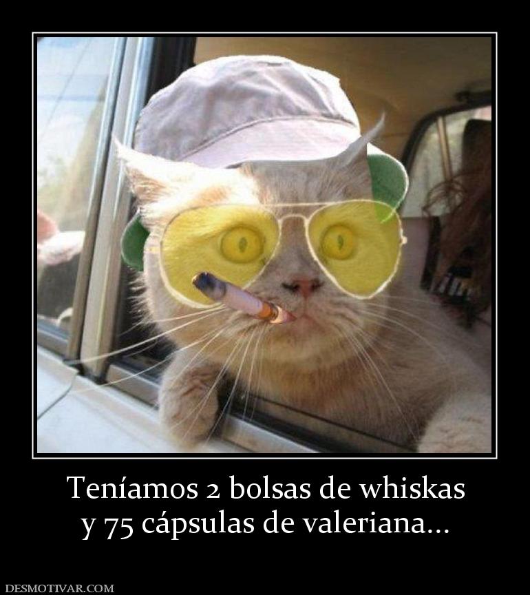 Teníamos 2 bolsas de whiskas y 75 cápsulas de valeriana...