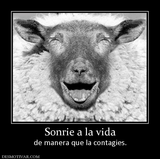 Sonrie a la vida de manera que la contagies.