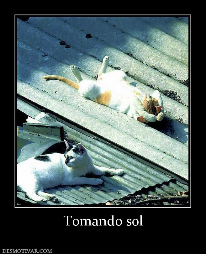 Tomando sol