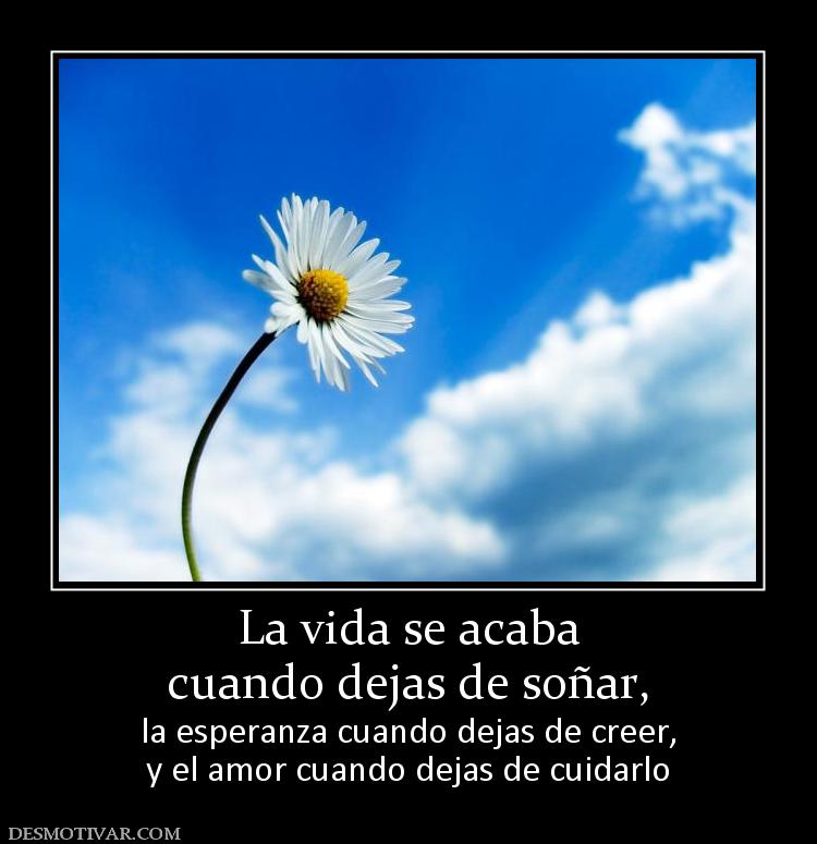 La vida se acaba cuando dejas de soñar,  la esperanza cuando dejas de creer, y el amor cuando dejas de cuidarlo