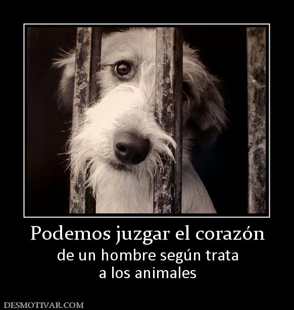 Podemos juzgar el corazón de un hombre según trata a los animales