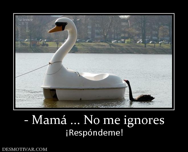 - Mamá ... No me ignores ¡Respóndeme!