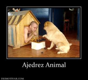 Ajedrez Animal