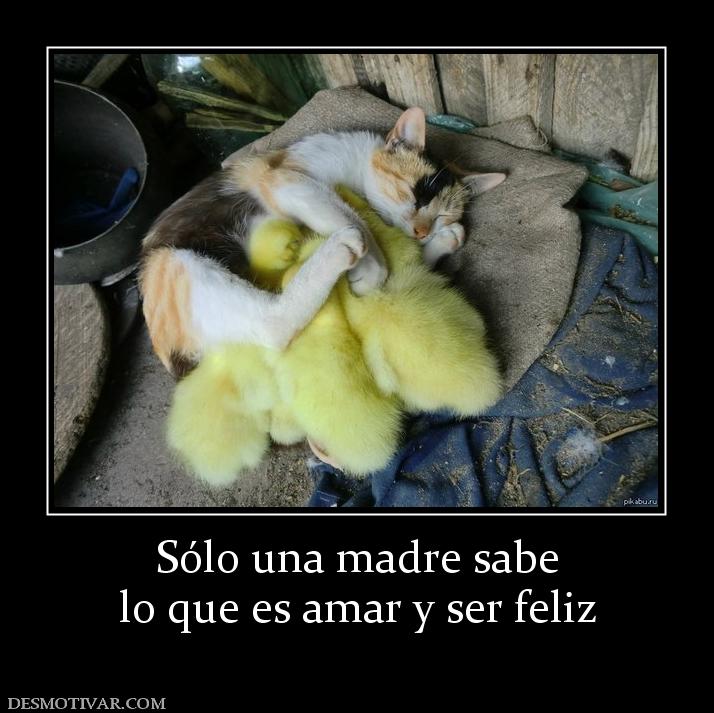 Sólo una madre sabe lo que es amar y ser feliz