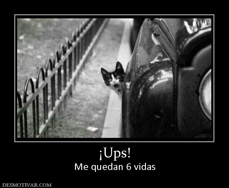 ¡Ups! Me quedan 6 vidas