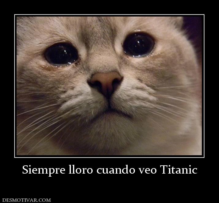 Siempre lloro cuando veo Titanic