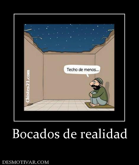 Bocados de realidad