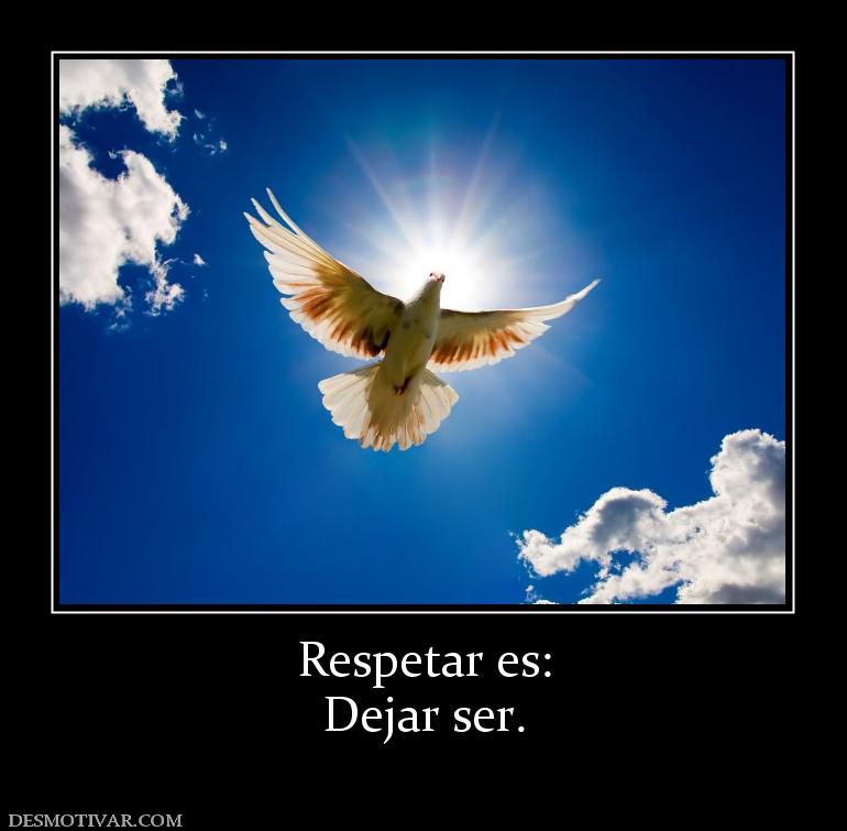 Respetar es: Dejar ser.