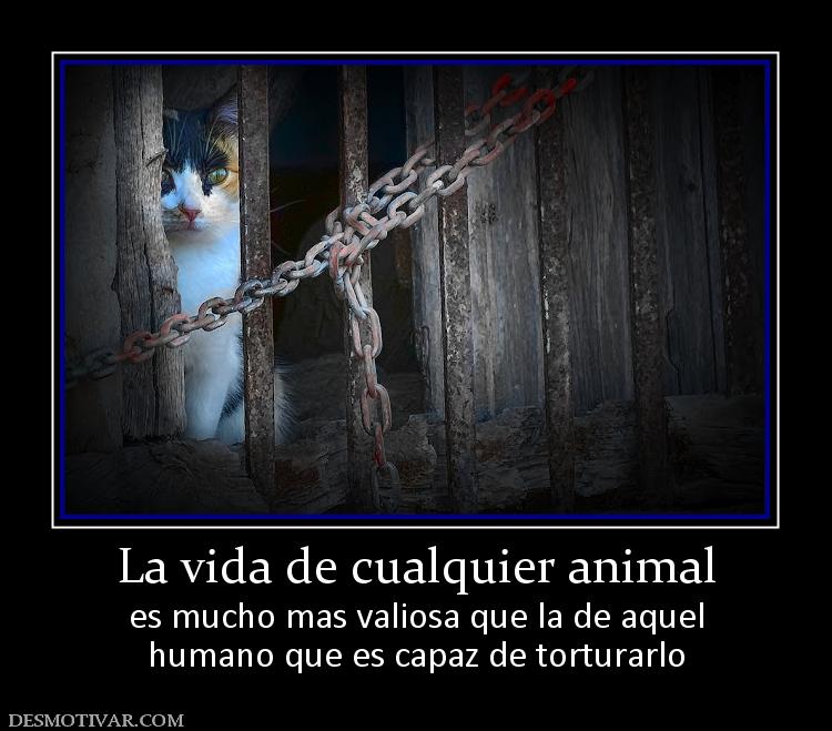 La vida de cualquier animal es mucho mas valiosa que la de aquel humano que es capaz de torturarlo