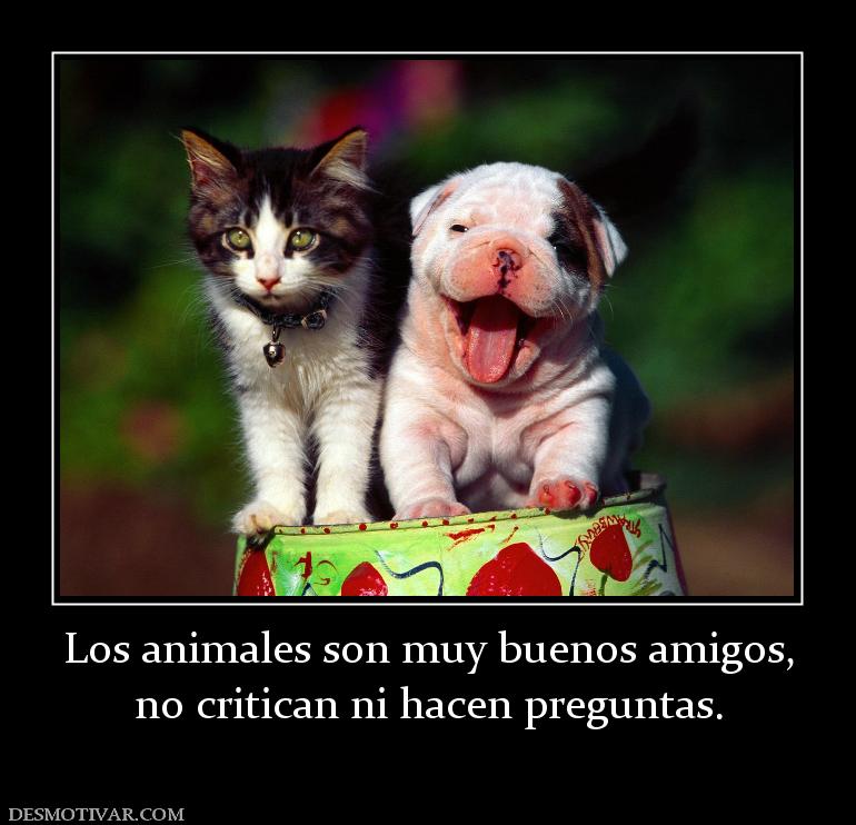 Los animales son muy buenos amigos, no critican ni hacen preguntas.