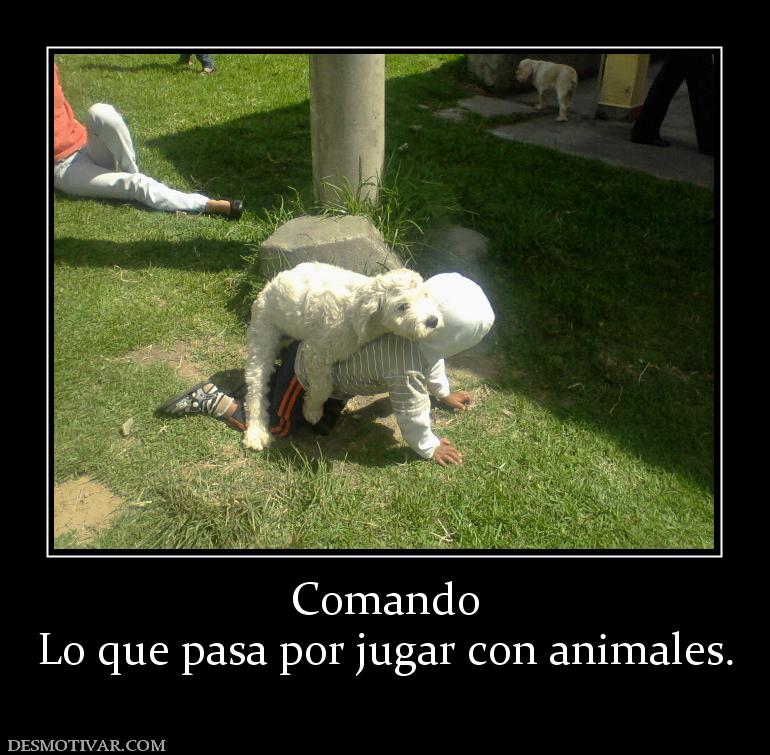 Comando Lo que pasa por jugar con animales.