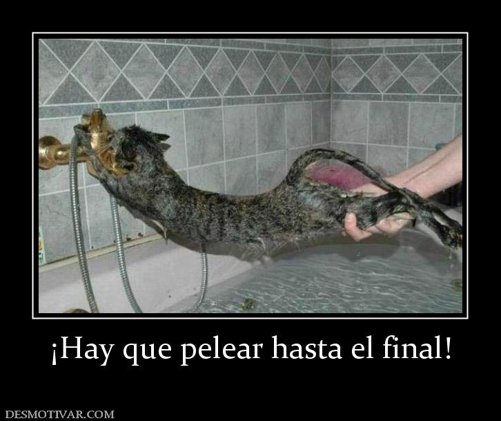 ¡Hay que pelear hasta el final!