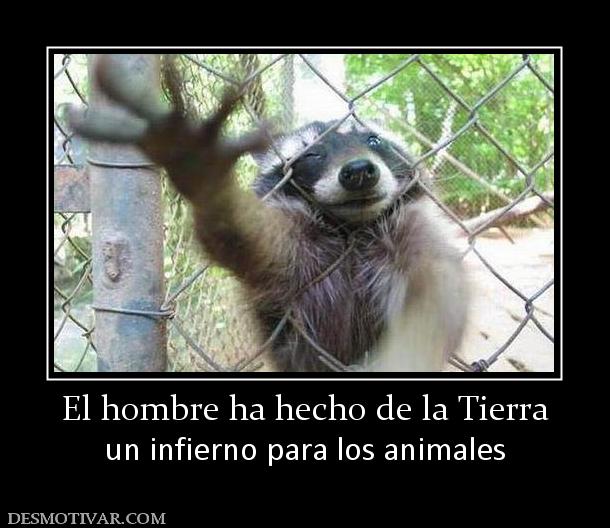 El hombre ha hecho de la Tierra un infierno para los animales