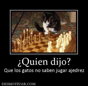 ¿Quien dijo? Que los gatos no saben jugar ajedrez