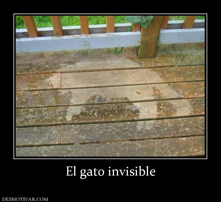 El gato invisible