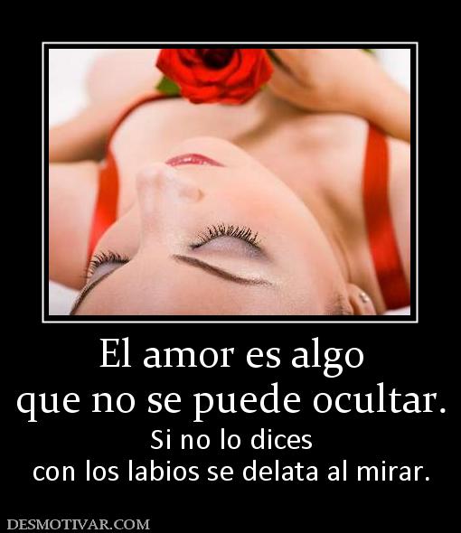 El amor es algo que no se puede ocultar. Si no lo dices con los labios se delata al mirar.