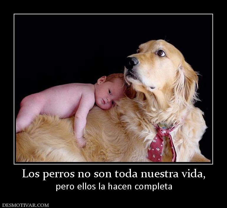 Los perros no son toda nuestra vida, pero ellos la hacen completa