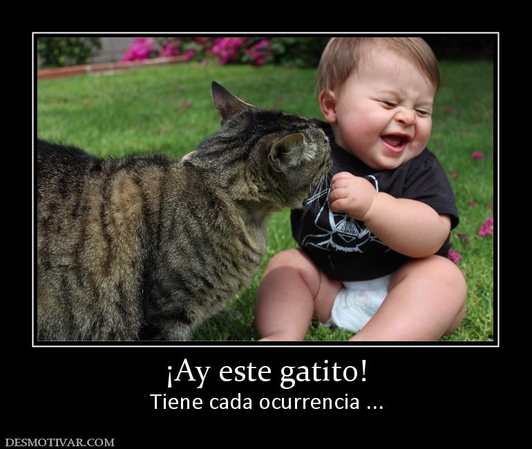 ¡Ay este gatito! Tiene cada ocurrencia ...