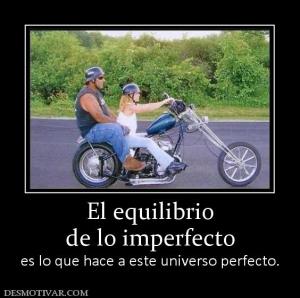 El equilibrio de lo imperfecto es lo que hace a este universo perfecto.