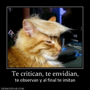 Te critican, te envidian, te observan y al final te imitan