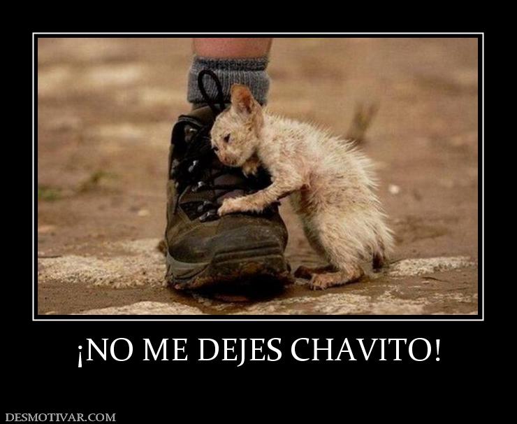 ¡NO ME DEJES CHAVITO!