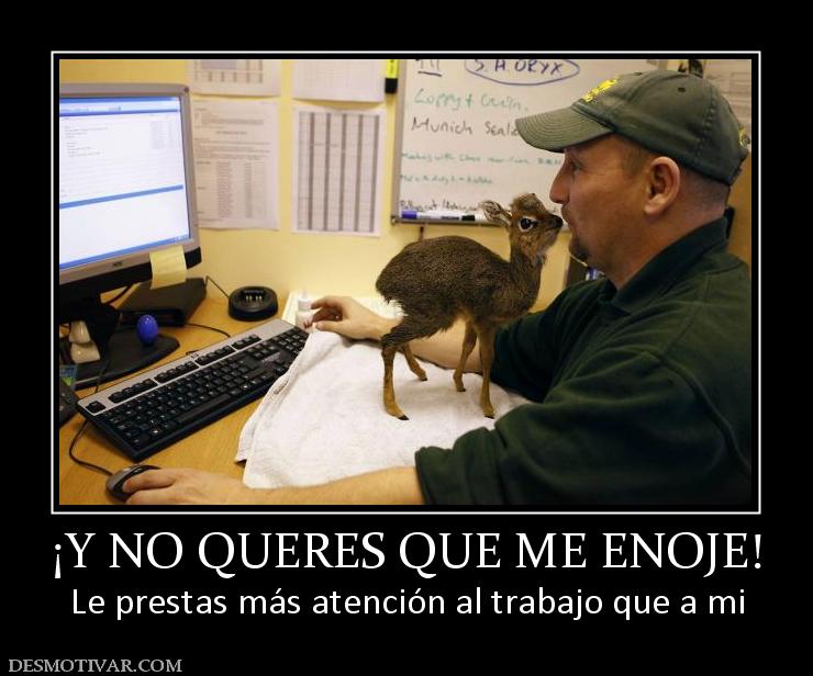 ¡Y NO QUERES QUE ME ENOJE! Le prestas más atención al trabajo que a mi