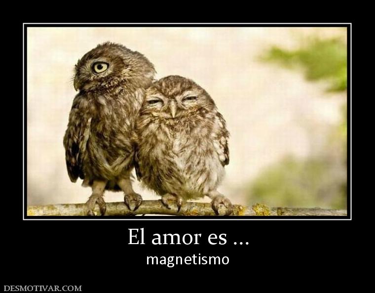 El amor es ... magnetismo